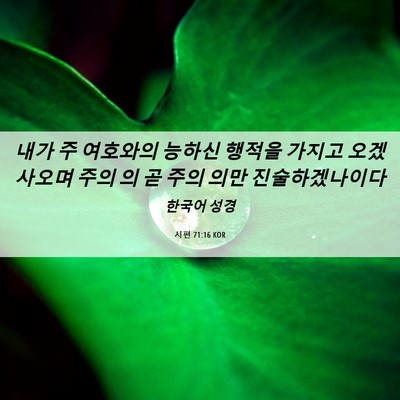 Picture 06 - 시편 71:16 KOR - 내가 주 여호와의 능하신 행적을 - Bible Verse Picture