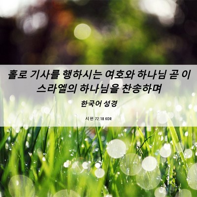 Picture 06 - 시편 72:18 KOR - 홀로 기사를 행하시는 여호와 하나님 - Bible Verse Picture