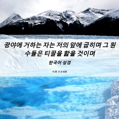 Picture 06 - 시편 72:9 KOR - 광야에 거하는 자는 저의 앞에 - Bible Verse Picture
