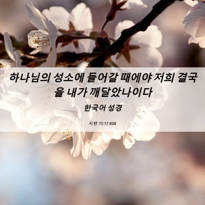 Picture 06 - 시편 73:17 KOR - 하나님의 성소에 들어갈 때에야 저희 - Bible Verse Picture