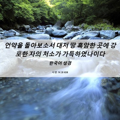 Picture 06 - 시편 74:20 KOR - 언약을 돌아보소서 대저 땅 흑암한 - Bible Verse Picture