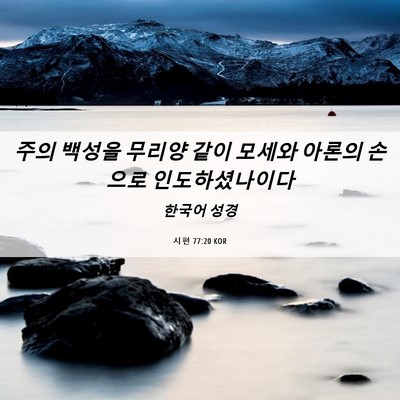 Picture 06 - 시편 77:20 KOR - 주의 백성을 무리양 같이 모세와 - Bible Verse Picture