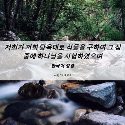 Picture 06 - 시편 78:18 KOR - 저희가 저희 탐욕대로 식물을 구하여 - Bible Verse Picture