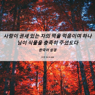 Picture 06 - 시편 78:25 KOR - 사람이 권세 있는 자의 떡을 - Bible Verse Picture