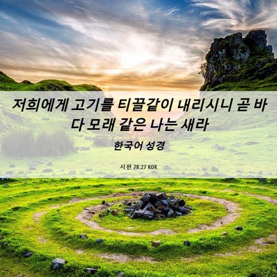 Picture 06 - 시편 78:27 KOR - 저희에게 고기를 티끌같이 내리시니 - Bible Verse Picture