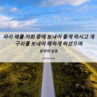 Picture 06 - 시편 78:45 KOR - 파리 떼를 저희 중에 보내어 물게 - Bible Verse Picture