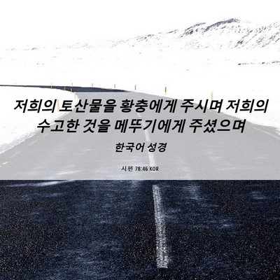 Picture 06 - 시편 78:46 KOR - 저희의 토산물을 황충에게 주시며 - Bible Verse Picture