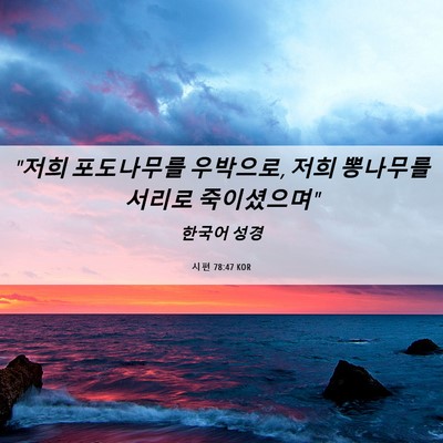 Picture 06 - 시편 78:47 KOR - 