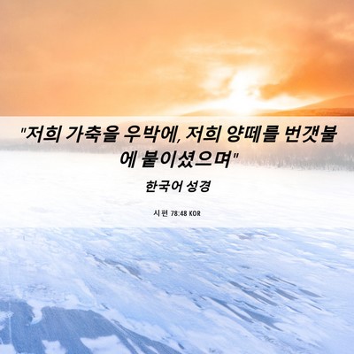 Picture 06 - 시편 78:48 KOR - 