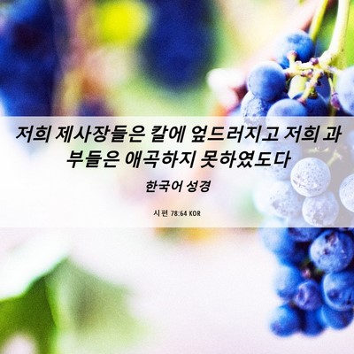 Picture 06 - 시편 78:64 KOR - 저희 제사장들은 칼에 엎드러지고 - Bible Verse Picture