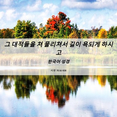 Picture 06 - 시편 78:66 KOR - 그 대적들을 쳐 물리쳐서 길이 - Bible Verse Picture
