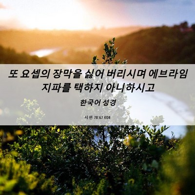 Picture 06 - 시편 78:67 KOR - 또 요셉의 장막을 싫어 버리시며 - Bible Verse Picture