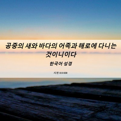 Picture 06 - 시편 8:8 KOR - 공중의 새와 바다의 어족과 해로에 - Bible Verse Picture