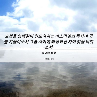 Picture 06 - 시편 80:1 KOR - 요셉을 양떼같이 인도하시는 - Bible Verse Picture