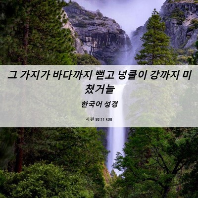 Picture 06 - 시편 80:11 KOR - 그 가지가 바다까지 뻗고 넝쿨이 - Bible Verse Picture