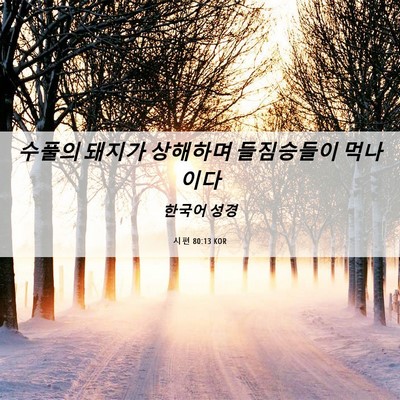 Picture 06 - 시편 80:13 KOR - 수풀의 돼지가 상해하며 들짐승들이 - Bible Verse Picture