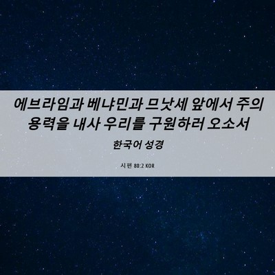 Picture 06 - 시편 80:2 KOR - 에브라임과 베냐민과 므낫세 앞에서 - Bible Verse Picture