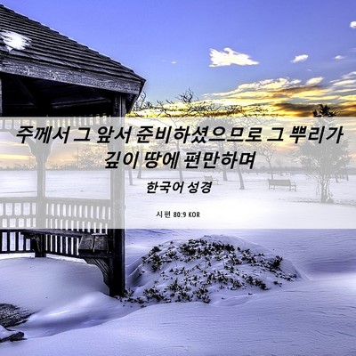 Picture 06 - 시편 80:9 KOR - 주께서 그 앞서 준비하셨으므로 그 - Bible Verse Picture