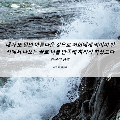 Picture 06 - 시편 81:16 KOR - 내가 또 밀의 아름다운 것으로 - Bible Verse Picture