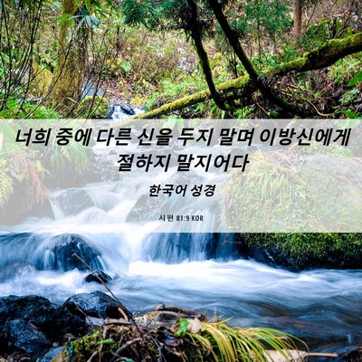 Picture 06 - 시편 81:9 KOR - 너희 중에 다른 신을 두지 말며 - Bible Verse Picture