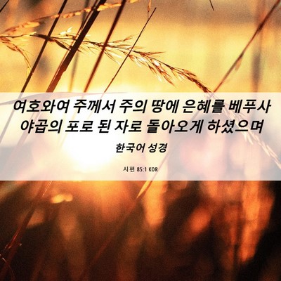 Picture 06 - 시편 85:1 KOR - 여호와여 주께서 주의 땅에 은혜를 - Bible Verse Picture