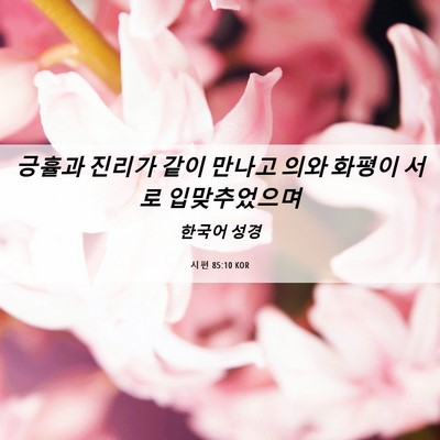 Picture 06 - 시편 85:10 KOR - 긍휼과 진리가 같이 만나고 의와 - Bible Verse Picture