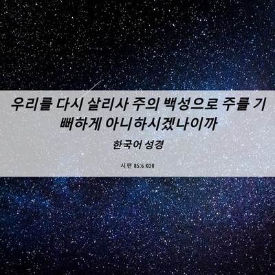 Picture 06 - 시편 85:6 KOR - 우리를 다시 살리사 주의 백성으로 - Bible Verse Picture