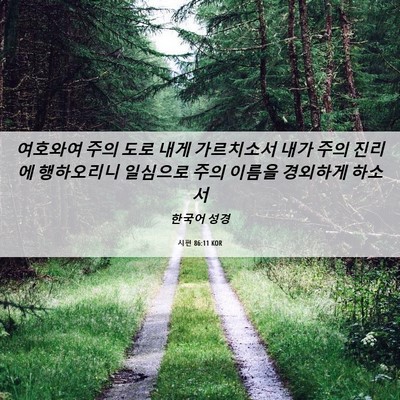 Picture 06 - 시편 86:11 KOR - 여호와여 주의 도로 내게 가르치소서 - Bible Verse Picture