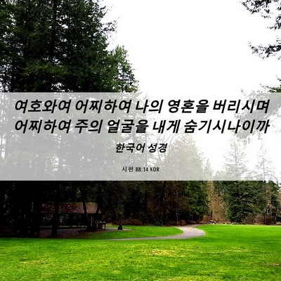 Picture 06 - 시편 88:14 KOR - 여호와여 어찌하여 나의 영혼을 - Bible Verse Picture