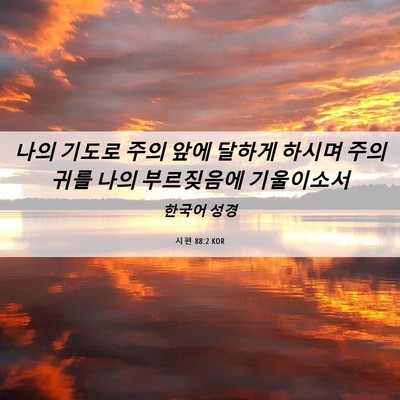 Picture 06 - 시편 88:2 KOR - 나의 기도로 주의 앞에 달하게 - Bible Verse Picture