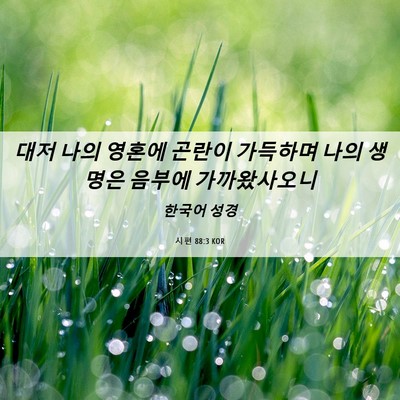 Picture 06 - 시편 88:3 KOR - 대저 나의 영혼에 곤란이 가득하며 - Bible Verse Picture