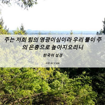 Picture 06 - 시편 89:17 KOR - 주는 저희 힘의 영광이심이라 우리 - Bible Verse Picture