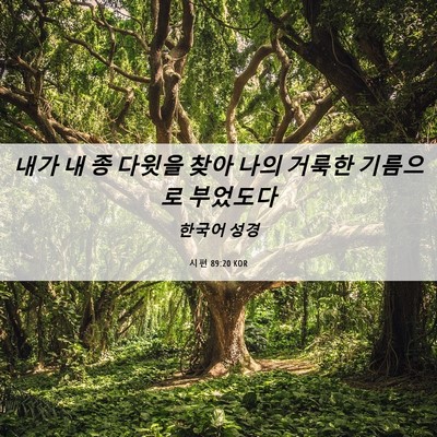 Picture 06 - 시편 89:20 KOR - 내가 내 종 다윗을 찾아 나의 거룩한 - Bible Verse Picture
