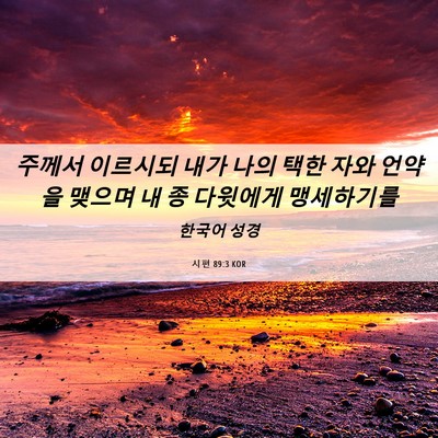Picture 06 - 시편 89:3 KOR - 주께서 이르시되 내가 나의 택한 - Bible Verse Picture