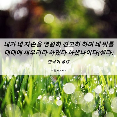 Picture 06 - 시편 89:4 KOR - 내가 네 자손을 영원히 견고히 하며 - Bible Verse Picture