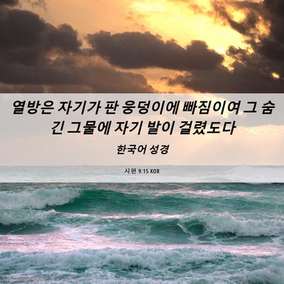 Picture 06 - 시편 9:15 KOR - 열방은 자기가 판 웅덩이에 빠짐이여 - Bible Verse Picture