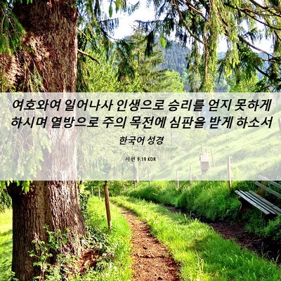 Picture 06 - 시편 9:19 KOR - 여호와여 일어나사 인생으로 승리를 - Bible Verse Picture