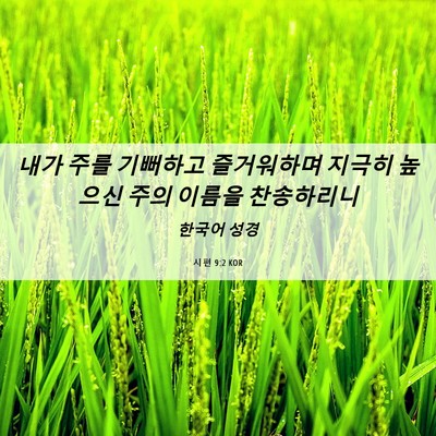 Picture 06 - 시편 9:2 KOR - 내가 주를 기뻐하고 즐거워하며 - Bible Verse Picture