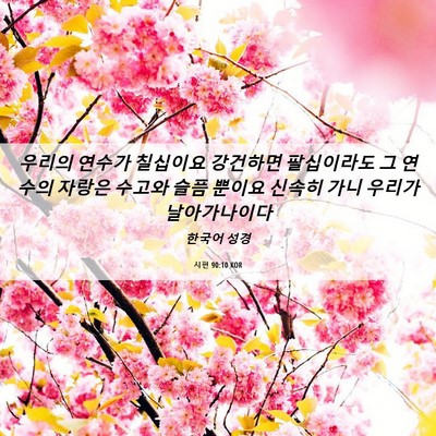 Picture 06 - 시편 90:10 KOR - 우리의 연수가 칠십이요 강건하면 - Bible Verse Picture