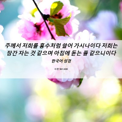 Picture 06 - 시편 90:5 KOR - 주께서 저희를 홍수처럼 쓸어 - Bible Verse Picture