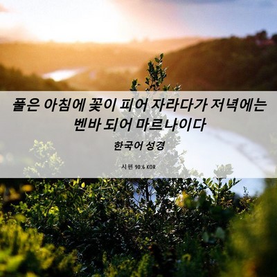 Picture 06 - 시편 90:6 KOR - 풀은 아침에 꽃이 피어 자라다가 - Bible Verse Picture