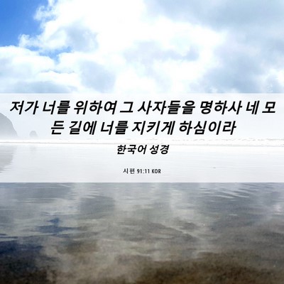 Picture 06 - 시편 91:11 KOR - 저가 너를 위하여 그 사자들을 - Bible Verse Picture