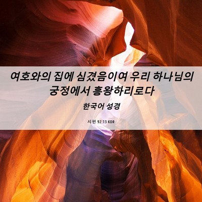 Picture 06 - 시편 92:13 KOR - 여호와의 집에 심겼음이여 우리 - Bible Verse Picture