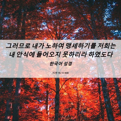 Picture 06 - 시편 95:11 KOR - 그러므로 내가 노하여 맹세하기를 - Bible Verse Picture