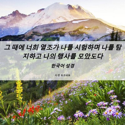 Picture 06 - 시편 95:9 KOR - 그 때에 너희 열조가 나를 시험하며 - Bible Verse Picture