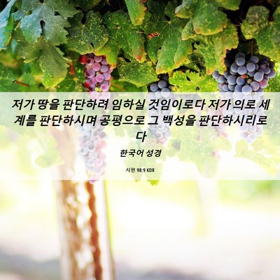 Picture 06 - 시편 98:9 KOR - 저가 땅을 판단하려 임하실 - Bible Verse Picture