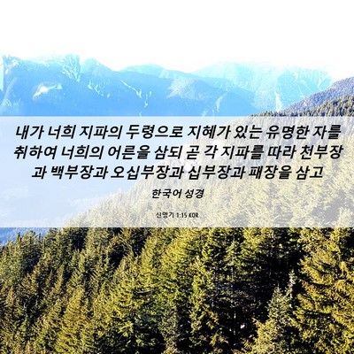 Picture 06 - 신명기 1:15 KOR - 내가 너희 지파의 두령으로 지혜가 - Bible Verse Picture