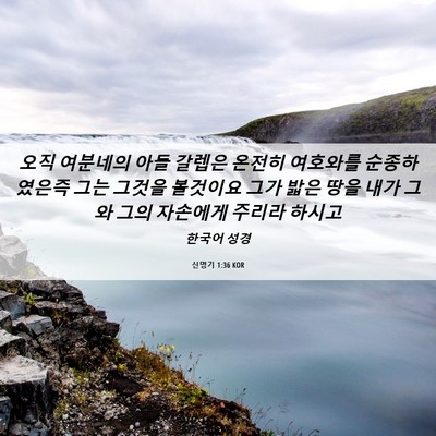 Picture 06 - 신명기 1:36 KOR - 오직 여분네의 아들 갈렙은 온전히 - Bible Verse Picture