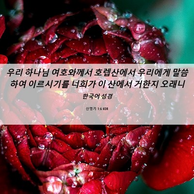 Picture 06 - 신명기 1:6 KOR - 우리 하나님 여호와께서 호렙산에서 - Bible Verse Picture