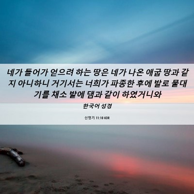 Picture 06 - 신명기 11:10 KOR - 네가 들어가 얻으려 하는 땅은 네가 - Bible Verse Picture